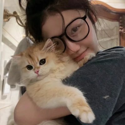 贝尔法斯特